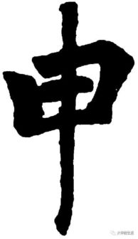  厉害了我的申申字的百种写法申家人不容错过