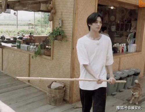  宋威龙郭麒麟只差3岁状态却大不同,一个上蹿下跳一个像退休大爷