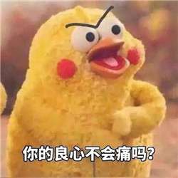 你的良心不会痛吗头像表