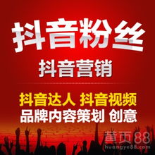  抖音短视频抖音粉丝抖音代运营抖音点赞抖音达人抖音加粉抖音营销-黄页88网