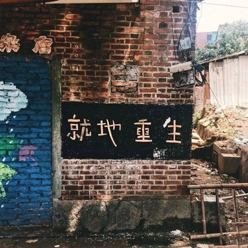  你可不可以说我有一个离不开的笨蛋腾讯新闻