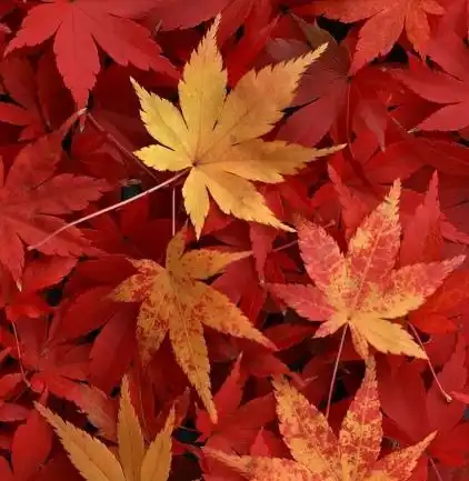  这些适合夏天的颜色穿搭,怎么搭配才好看