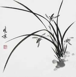  一念之间居家美国画君子兰帮您