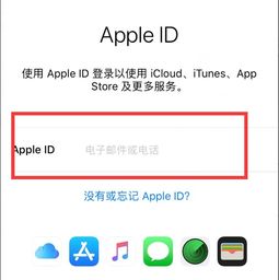  一个苹果手机是不是只能用一个id帐号和密码