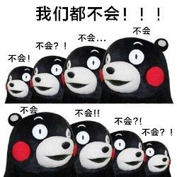  你的良心不会痛吗熊本熊表情包下载你的良心不会痛吗熊本熊表情包图片v1.0下载清风安卓软件网