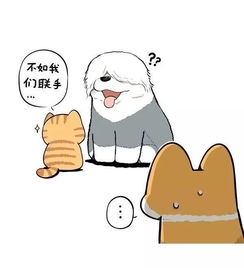  橘猫的世界你不懂就这样抛弃盟友,你的良心不会痛吗