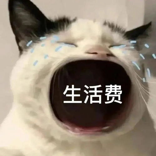 猫大嘴头像