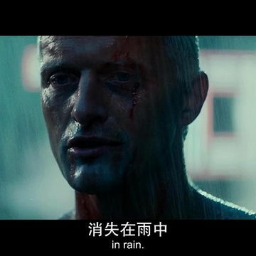  全站照片标签银翼杀手
