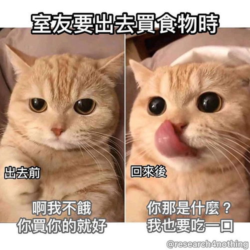  神吐槽图,白猫下载中90