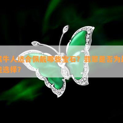  属牛人适合佩戴哪些宝石翡翠是否为更佳选择