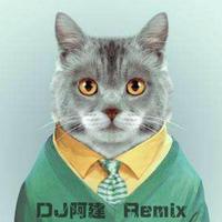  electronicmusicradio