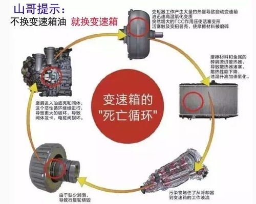  换个变速箱油要1000多,我能不能拒绝