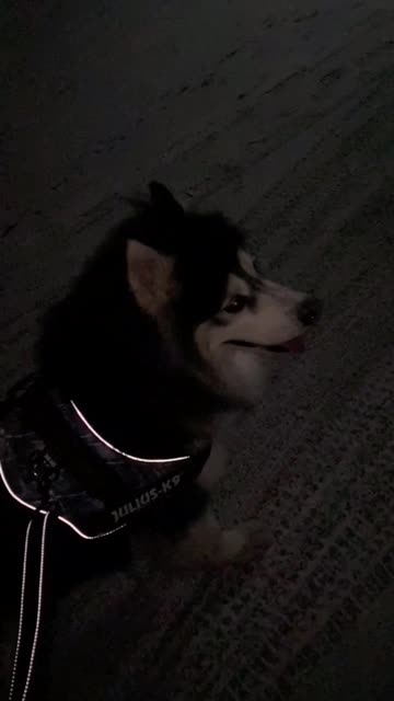 快手直播