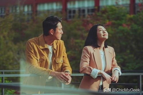  2023十一月netflix新片单这7部最值得一看