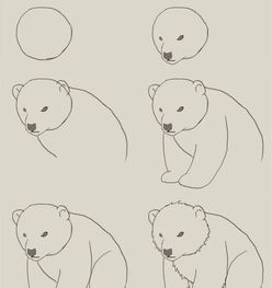  100种动物简笔画画法,拿去临摹