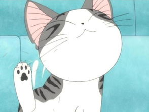  盘点动漫那些卖萌猫咪,你最喜欢那只