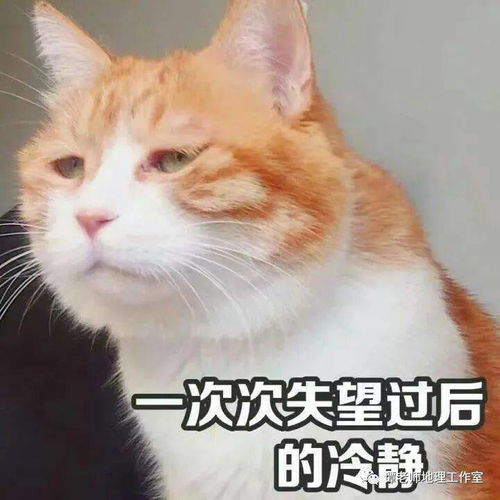  这些鬼畜的地理题目,让我一度怀疑人生结论高考地理,从来就不需要备考