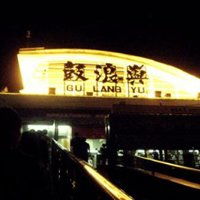 霸气金龙头像厦门站