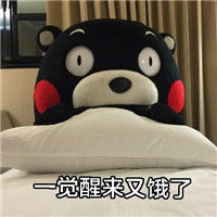  熊本熊搞怪带文字的表情包你为什么会成为胖纸