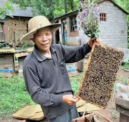  我的2018