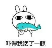  是什么让这位太原阿姨一夜爆红