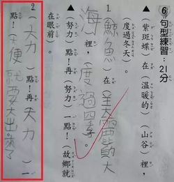  不就造个句吗,为什么要出卖你爸妈