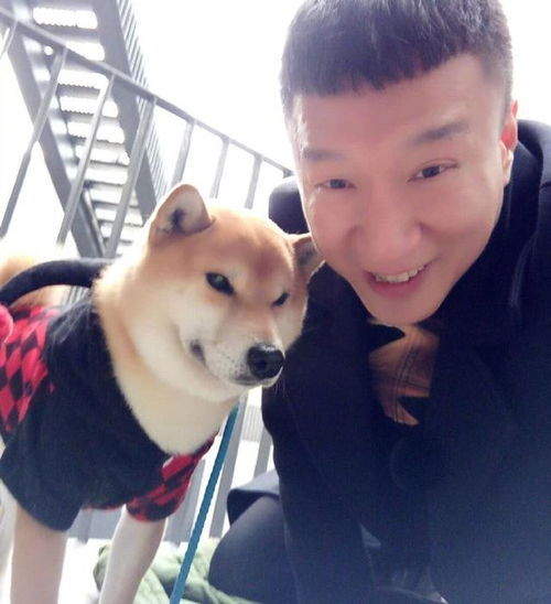 孙红雷同款狗的头像极限