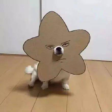  沙雕头像