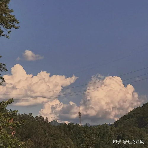  学习通考试系统的监考规则是什么