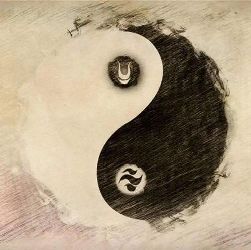  从中国武术看中国传统文化二