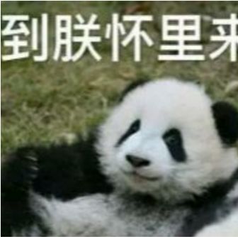  原来我们的国宝熊猫,已经火到国外去了