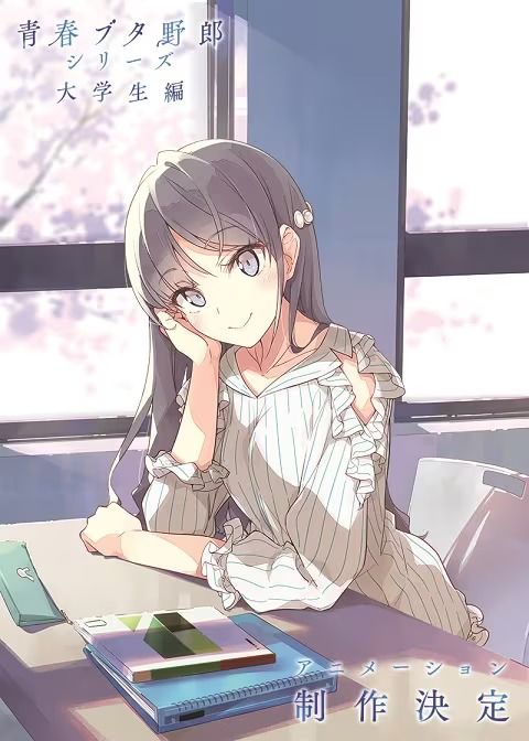  青春猪头少年大学生编动画化决定
