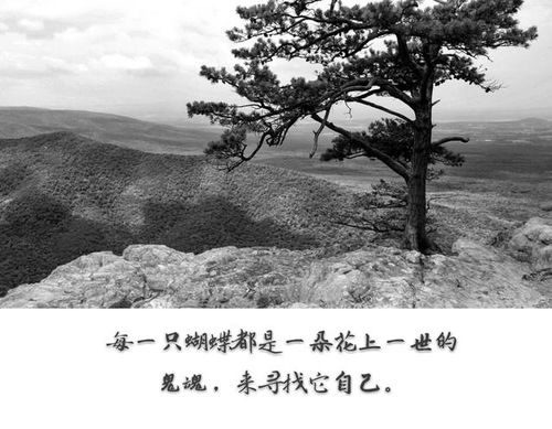 一辈子,随心,随性,随缘