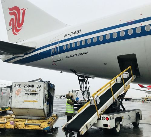  国航全力保障中美航线运输不停航