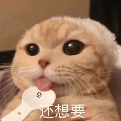  光听名字,就已经狂咽口水500次