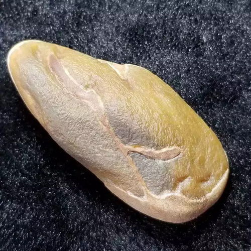  鸡油般黄的达马坎翡翠原石,不料收获一念成佛一念成魔
