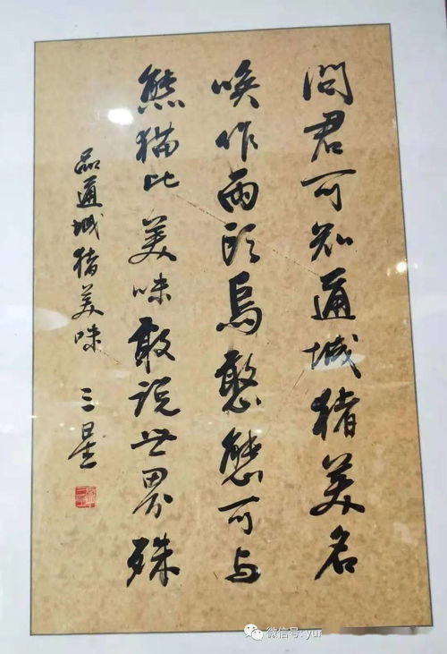  昨日记问君可知通城猪