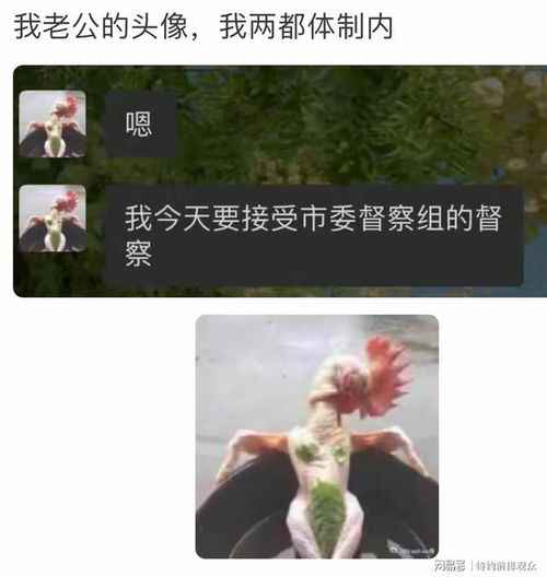  为什么体制内不能用情侣头像网友你这样子我很难做事