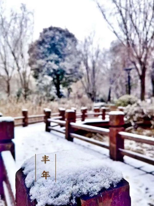  安徽启动暴雪级应急响应,淮北