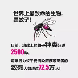  教你做个防蚊达人