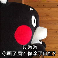  熊本熊带文字让人生气的表情包对女生千万别说这些话