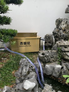  庭院鱼池想要聚财需从哪些角度来入手怎么样让风水更顺顺当当的