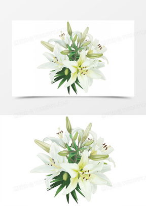 百合花图像微信头像大全