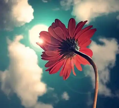 头像彩色系用心看世界