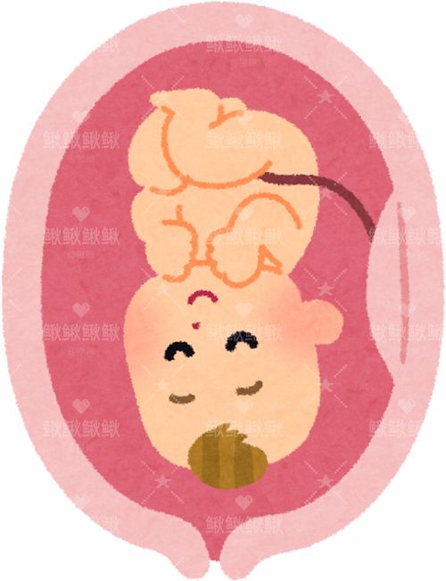 母子卡通头像微信头像