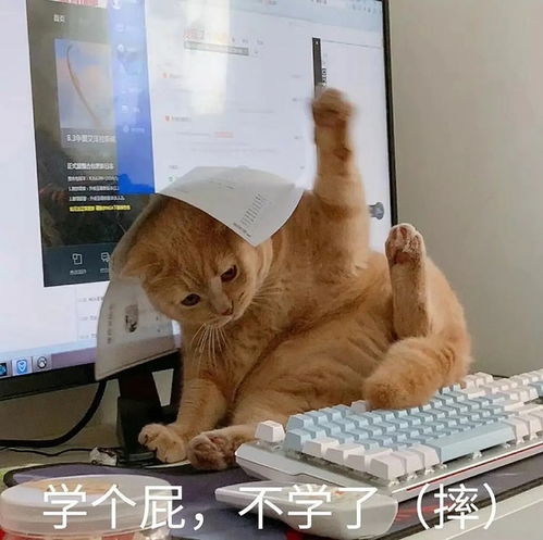  鹅们的臂展和自己身高一样吗