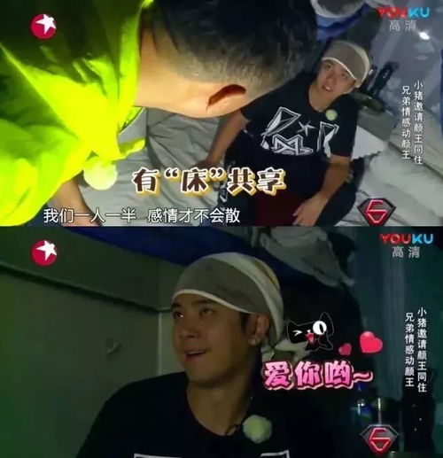  六位君子六只小狗六个熊孩子极限挑战独家故事