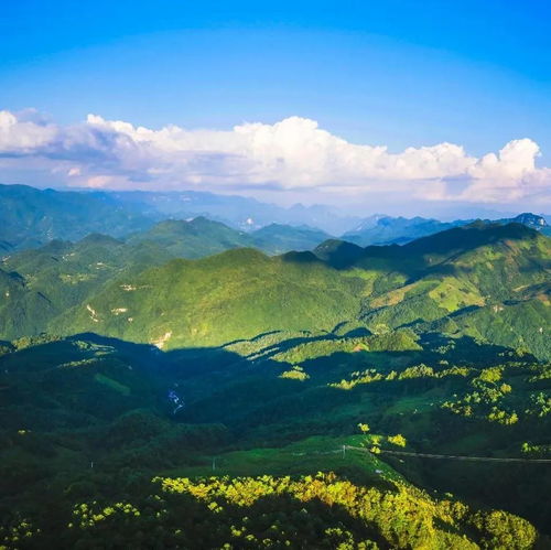  美翻了粉黛乱子草已成花海,快来巴山大峡谷收集秋日色彩