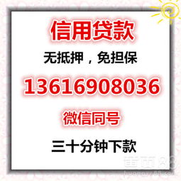 上海黄页88网