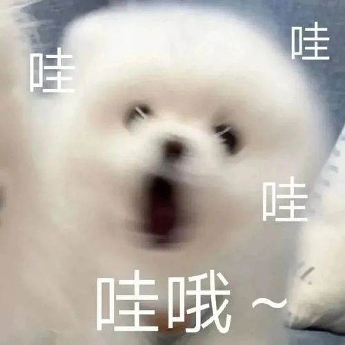  2021年新大纲突然变动,怎么调整计划才能稳上岸